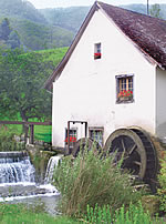 Schmitte Beinwil