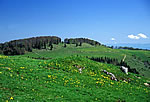 Hohe Winde - Stierenberg