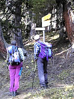 Wandern
