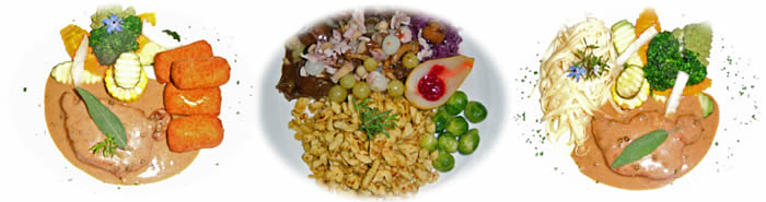 Saisongerichte, Wild, sch�n angerichtet