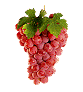 Vins