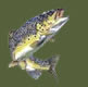 poissons