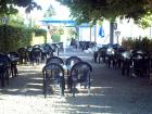 vindonissa-large-600-1255899441.jpg