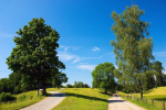 <b>Panorama Sommer</b><br><br />