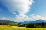 <b>Panorama Sommer</b><br><br />