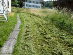 selbst ausgewachsene Gräser werden problemlos geschnitten.