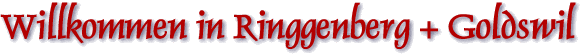 Willkommen in Ringgenberg  - Goldswil !