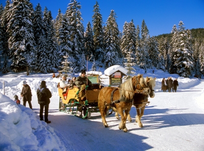 001d-07--A--Tirol--Wildmoos-Alm bei Seefeld.jpg