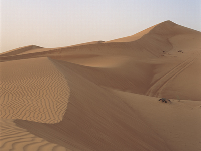 K16_040_Sandd�nen_bei_Tawi_al-Hibab_Dubai_VAE.jpg