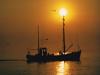 K13_018_Krabbenkutter_in_der_Nordsee_Holland_Niederlande.jpg