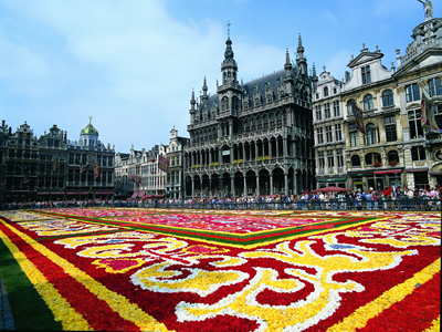 K05_027_Br�ssel_Belgien_Blumenteppich_auf_dem_Grand_Place.jpg