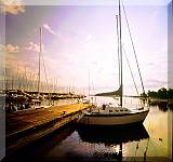 Boote - Steg
