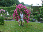 Alfons-Sommerfrisur.gif
