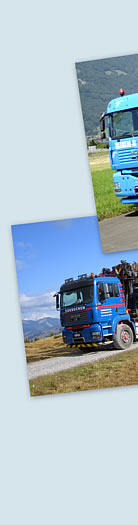 Berner Oberl�nder
