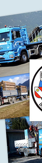 Berner Oberl�nder