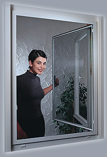 Drehfenster