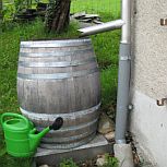 Regenwassernutzung