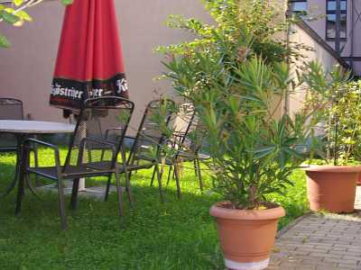 Biergarten