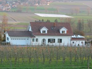 Rutishauser Holzbau