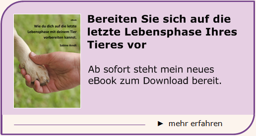 Sabine Arndt - ebook