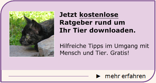 Ratgeber - Sabine Arndt