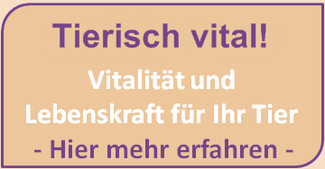 Vitalit&auml;t - Sabine Arndt 