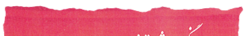 Safran Extra Quality - KESHAVARZ SAFFRON