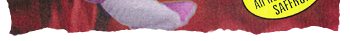 Safran Extra Quality - KESHAVARZ SAFFRON