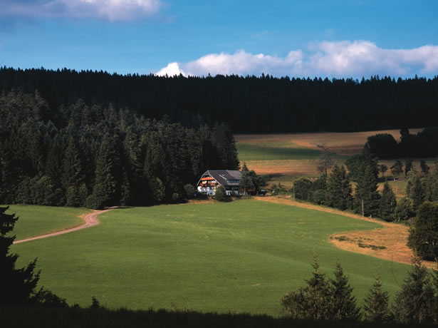 haus weiter weg.jpg