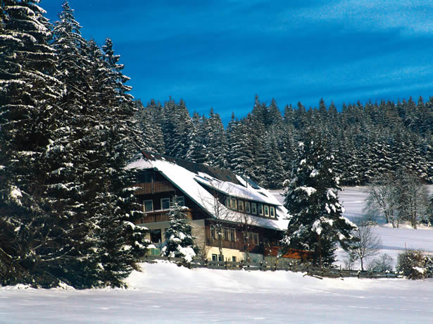 salenhof winter2.jpg