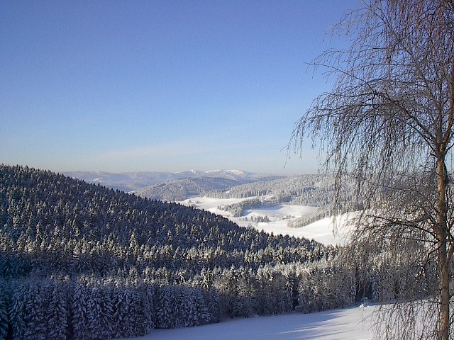 Blick aus dem Gästezimmer