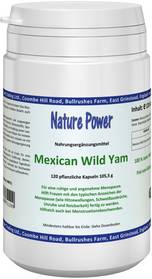 Mexican Wild Yam