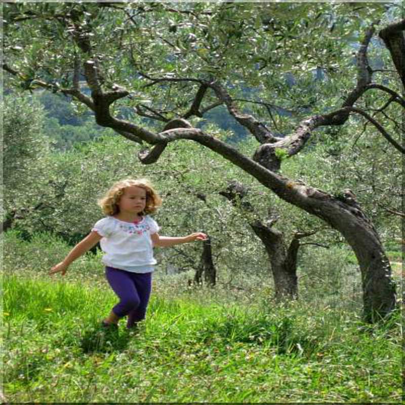 Kind im Olivenhain