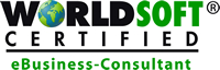 eBusiness-consultant