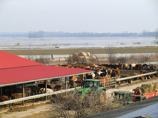 146.JPG
