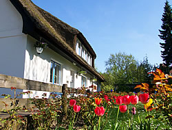 Ferienhaus Ferienwohnung Appartements in Sierksdorf Neustadt Ostsee: Gästehaus Schäferkate