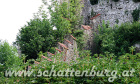Burgmauer