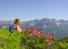 Hotel Alpin Scheffau Wandern