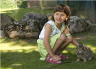 Hotel Alpin Scheffau Streichelzoo