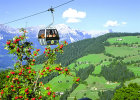 Hotel Alpin Scheffau Bergbahn Sommer