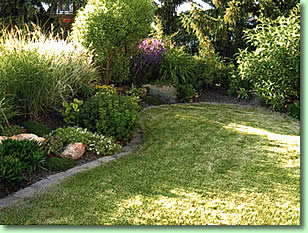 Garten mit geschwungener Rasenkante