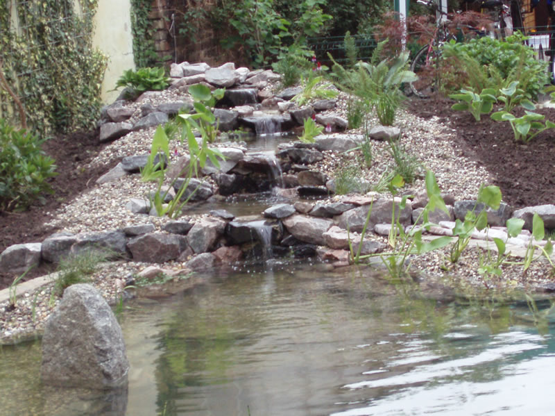 Teichanlagenbau Und Gartengestaltung Marcel Scherer Wir Machen Ihren Traum Wahr Wasserlauf Wasserlauf21