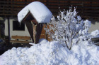 Viel Neuschnee