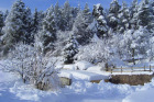 M�rchenhafte Winterlandschaft