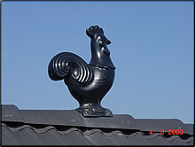 Firsthahn Firsthahn