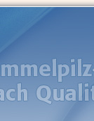 BIOMESS-Technik Weithaas, Dipl. Geo�kol. Tino Weithaas
