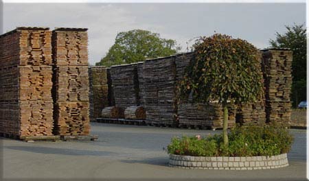 Holzlagerplatz
