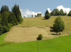DSC02879.JPG