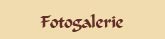 Fotogalerie