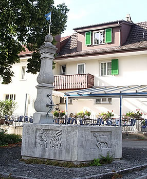 Brunnen Wehntalerstrasse 20